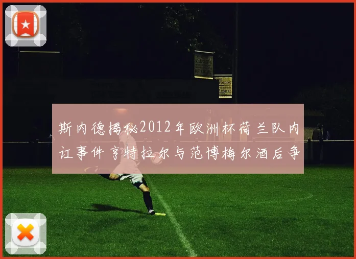 斯内德揭秘2012年欧洲杯荷兰队内讧事件亨特拉尔与范博梅尔酒后争执内幕